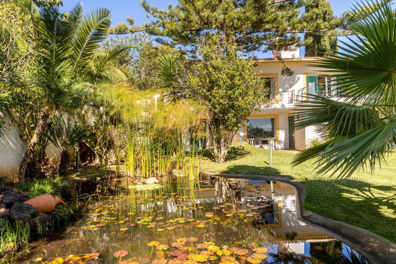Villa Echium T1 คานีโซ ภายนอก รูปภาพ