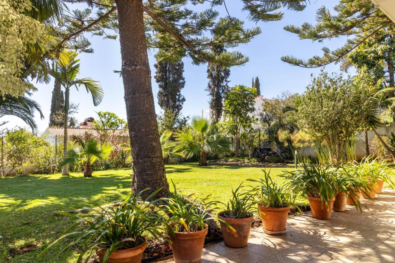 Villa Echium T1 คานีโซ ภายนอก รูปภาพ